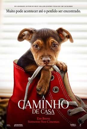 Filme A Caminho de Casa - A Dogs Way Home 2019