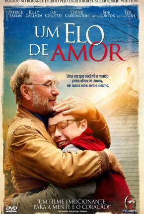 Filme Um Elo de Amor 2013