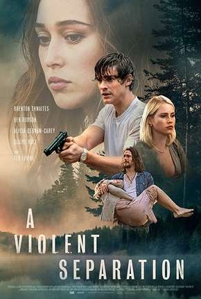 Filme A Violent Separation - Legendado 2019