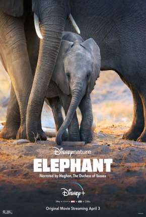 Filme Elefante - Legendado 2020