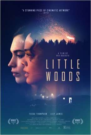 Filme Little Woods - Legendado 2019