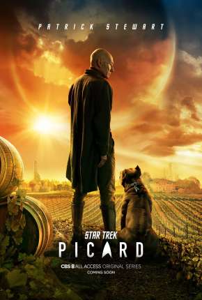 Série Star Trek - Picard - 1ª Temporada 2020