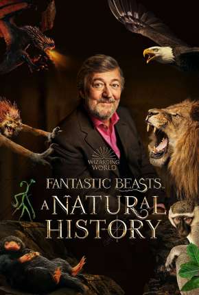 Filme Animais Fantásticos - Uma História Natural 2022