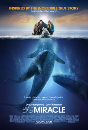 Filme O Grande Milagre - Big Miracle 2012