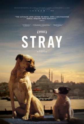 Filme Stray - 2021 Legendado 2021