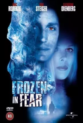 Filme Assassino Frio 2001