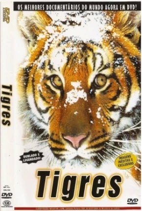 Filme Tigres / Na Sombra do Tigre 1999