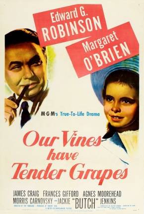 Filme O Roseiral da Vida / Our Vines Have Tender Grapes 1945