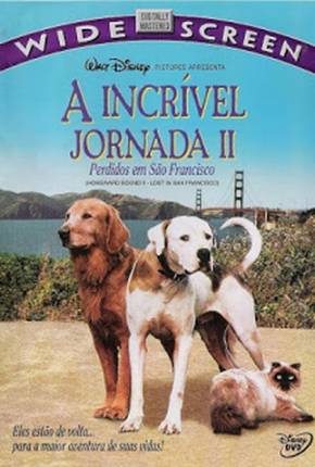 Filme A Incrível Jornada 2 - Perdidos em São Francisco 1996