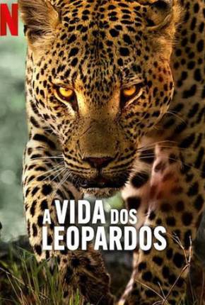 Filme A Vida dos Leopardos 2024