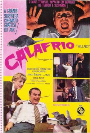 Filme Calafrio / Willard 1971