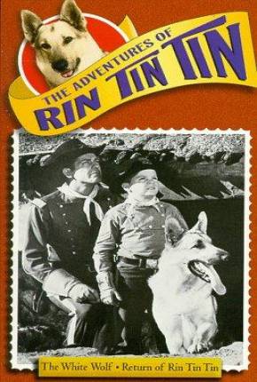 Série As Aventuras de Rin Tin Tin - 1ª Temporada 1954