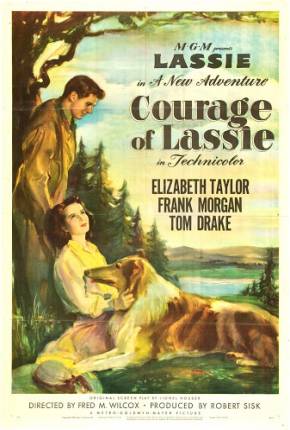 Filme A Coragem de Lassie / Courage of Lassie 1946